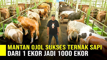 Gak Pake Ribet! Mantan Driver Online Kelola Ribuan Sapi Cuma Pake QR Code