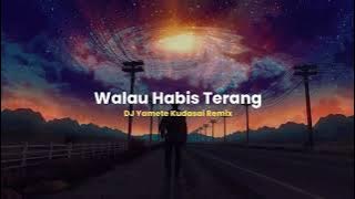DJ Walau Habis Terang Slow Beat - Viral Remix 2021