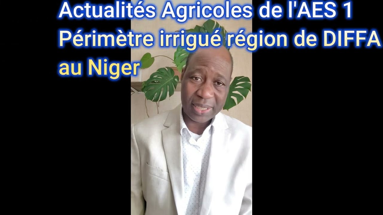 Ebeire Diffa Actualités Agricoles de l'AES, périmètre irrigué dans la région de ...