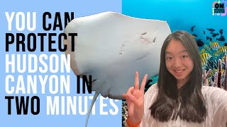 YOU can protect THE HUDSON CANYON IN TWO MINUTES