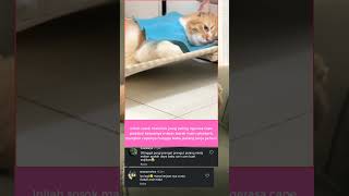 Berasa Paling Berat Idup Lu Yen
