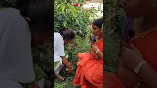 #TeluguShorts#TeluguFunnyVideo #TeluguExperiment#TeluguNature #FunnyShorts#GulaabiChettu #Jamachettu