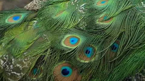 Dawn of Evening [solo piano by Sally Greenaway]