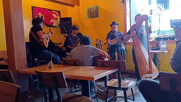 Folk Music in a Chicago bar - Mexican Son