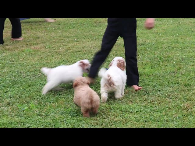 Toby video thumbnail