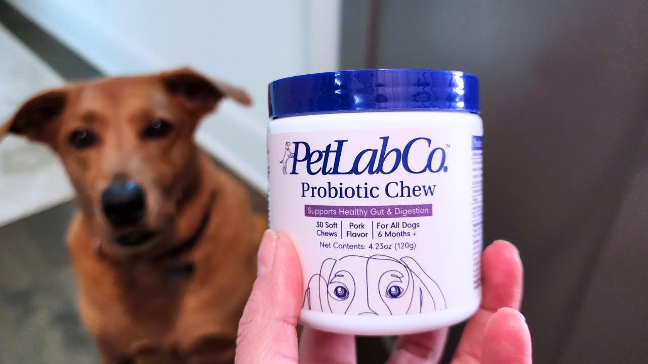 PetLab Co. Probiotics for Dogs, Support Gut Health, Digestive Health
