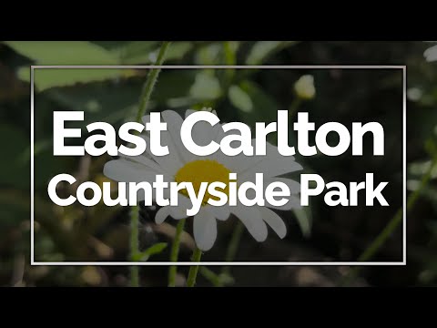 East Carlton Countryside Park, Corby, Northamptonshire, England, UK