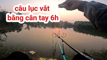 câu cá trôi đỏ bằng cần tay lưỡi lục #cauluccantay