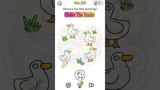 Level 23 Brain Out 🧠 | Where’s the Little Duckling? 🐣 | Can You Find It?    #brainoutlevelsolution
