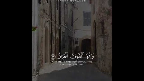 (اللَّهُ لَطِيفٌ بِعِبَادِهِ يَرْزُقُ مَن يَشَاءُ ۖ وَهُوَ الْقَوِيُّ الْعَزِيزُ ) القارئ اسلام صبحي