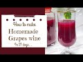 Homemade grape wine  how to make grape wine in 21 days  grape wine  red wine  ep186