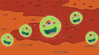 Microbial Growth (Temperature)