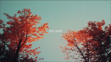 Where morning meets autumn I Emotional 🍁Vibes | Midwest Emo /Post Rock / Math Rock