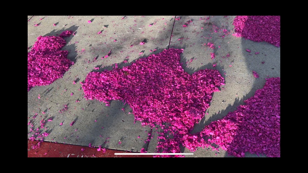 Huong Mai Succulents USA- Sen đá Hàn is live!