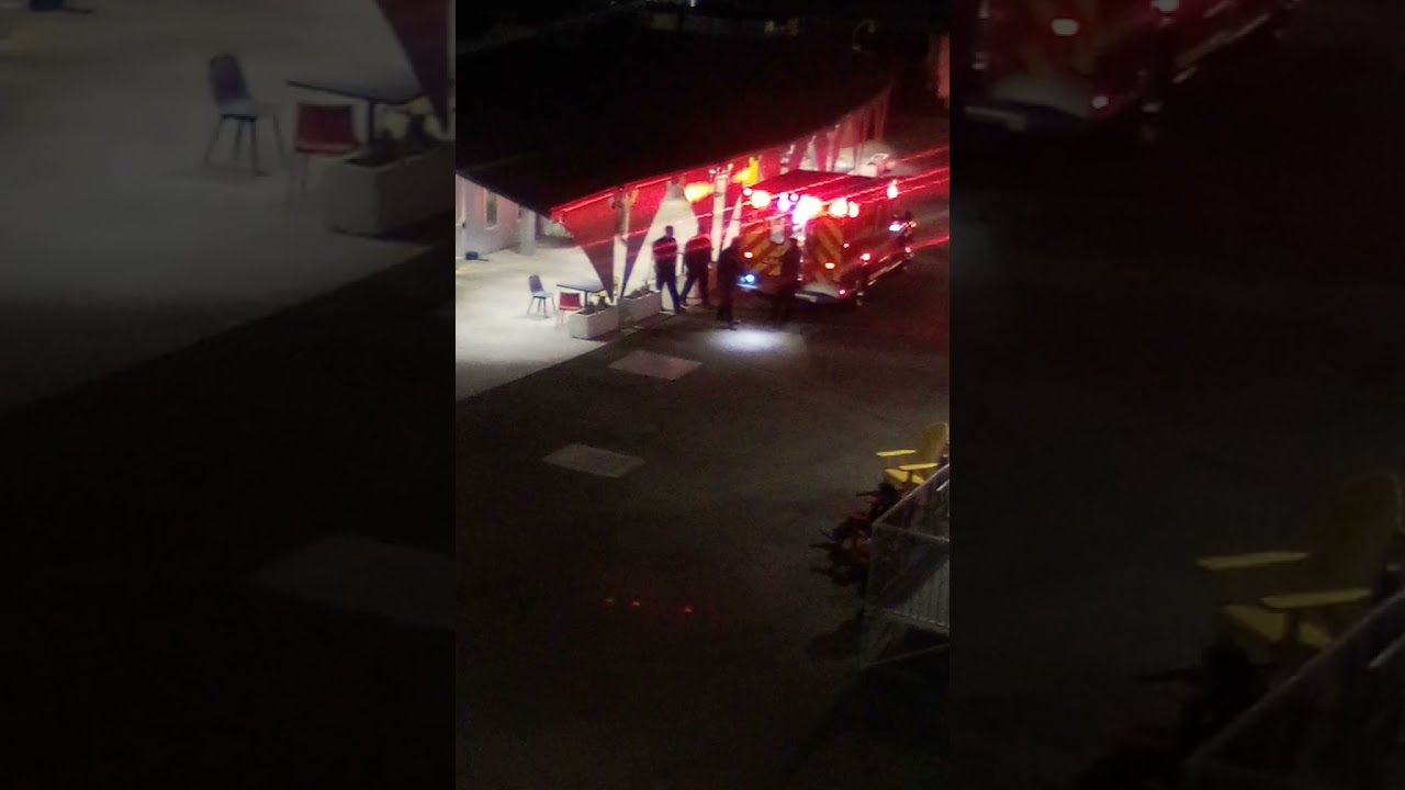 CULTURAL PATHOLOGY EXHIBIT # 8: SELF-KILL RATIO IN AN LA HOMELESS SHELTER