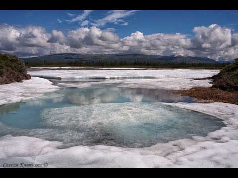 §45 "Северо-Восточная Сибирь", География 8 класс, Домогацких