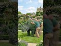 Giant Living Rhino Sculpture Comes to Life in Rose Garden🦏 #satisfying #oddlysatisfying #viralvideo