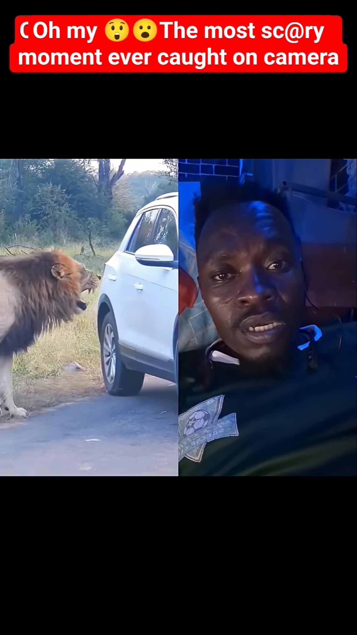 特撮 Sept histoires qui reviennent de loin Oh my 😲😮The most sc@ry moment ever caught on camera friendly