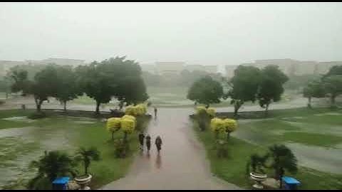 #uog University of Gujrat|Rain Scene