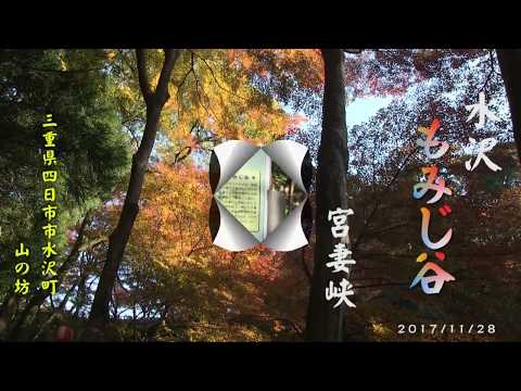 水沢町 もみじ谷 水沢町 もみじ谷