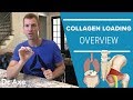 Collagen Loading