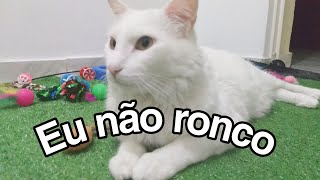 Eu não ronco! by Floquinho o Gato 356 views 1 year ago 2 minutes, 53 seconds