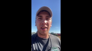 How to Measure the Yield of a Grain Corn Hybrid Test Plot