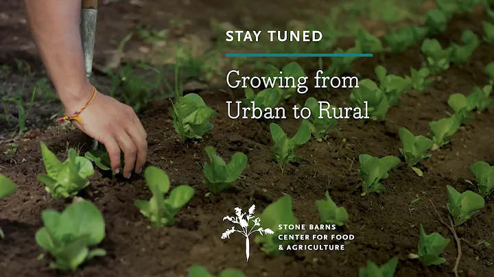 Growing from Urban to Rural