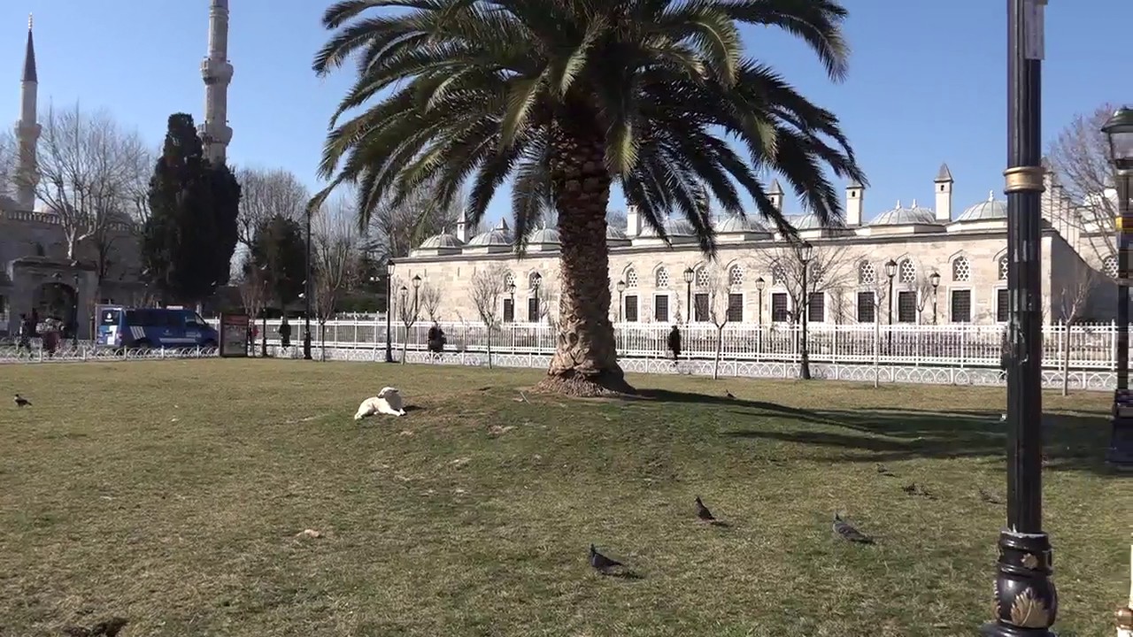 Ezan (İbrahim Çoban) 02.02.2017