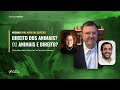 Webinar para além das espécies | Direito dos Animais