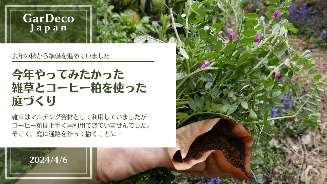 今年やってみたかった雑草とコーヒー粕を使った庭づくり