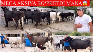 ROʻZIVOY😱NARXLARNI ARZON ARZON QOʻYVORDI ULGIRIB QOLING🏃ONA BOLA SGIRLAR ENG ARZON J😇
