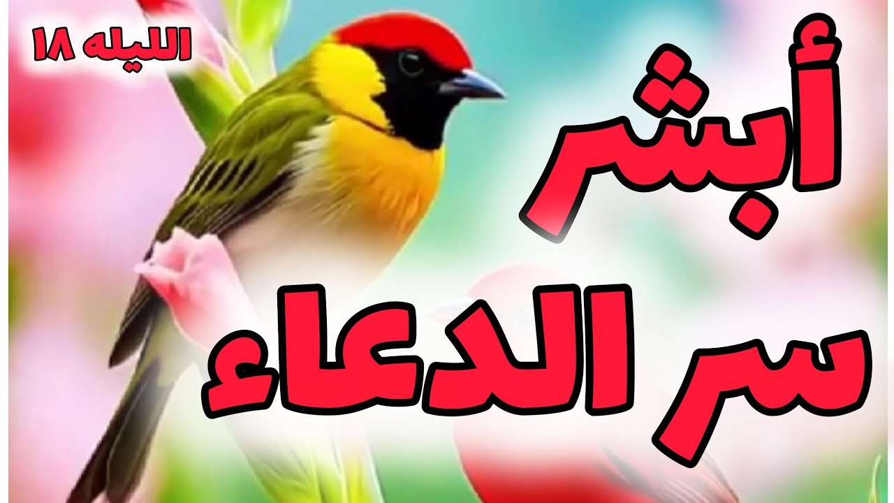 ابشر | هذا السر يقرّب استجابة دعائك الليله ١٨