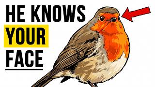 The Robin In Your Garden Remembers Your Face (And Has Been Watching You For Months)