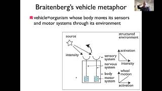 Embodied nervous systems: Braitenberg vehicles