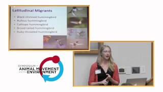 AMoveE 2014: Sarah Supp