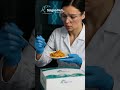 Aflatoxin B1 Testing in Ready to Eat Foods | IAC Column - ScignoHub #scignohub #foodsafetytesting