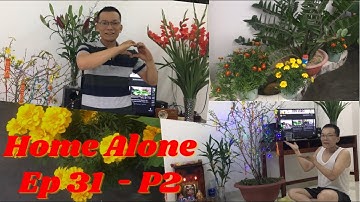 Home Alone #31|| Tiến Vlog Đón Tết Cùng YouTube P2 || Tết Tân Sửu 2021