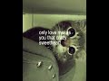 and that damn stupid.. | #myphotos #lyrics #sad #cat #makemefamous #foryou