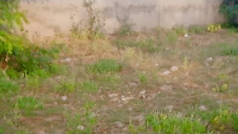 20X60 Commercial Plot For Sale In Hare Krishna Narayan Vihar Mansarovar Jaipur Call 9602162643