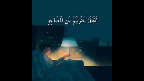قرآن كريم بصوت رعد الكردي 🌼🎧 أجمل حالات واتس اب دينية مقاطع دينية قصيرة مقاطع انستقرام دينية