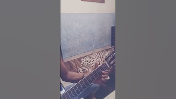 Kalih Welasku | Acoustic Guitar #shorts