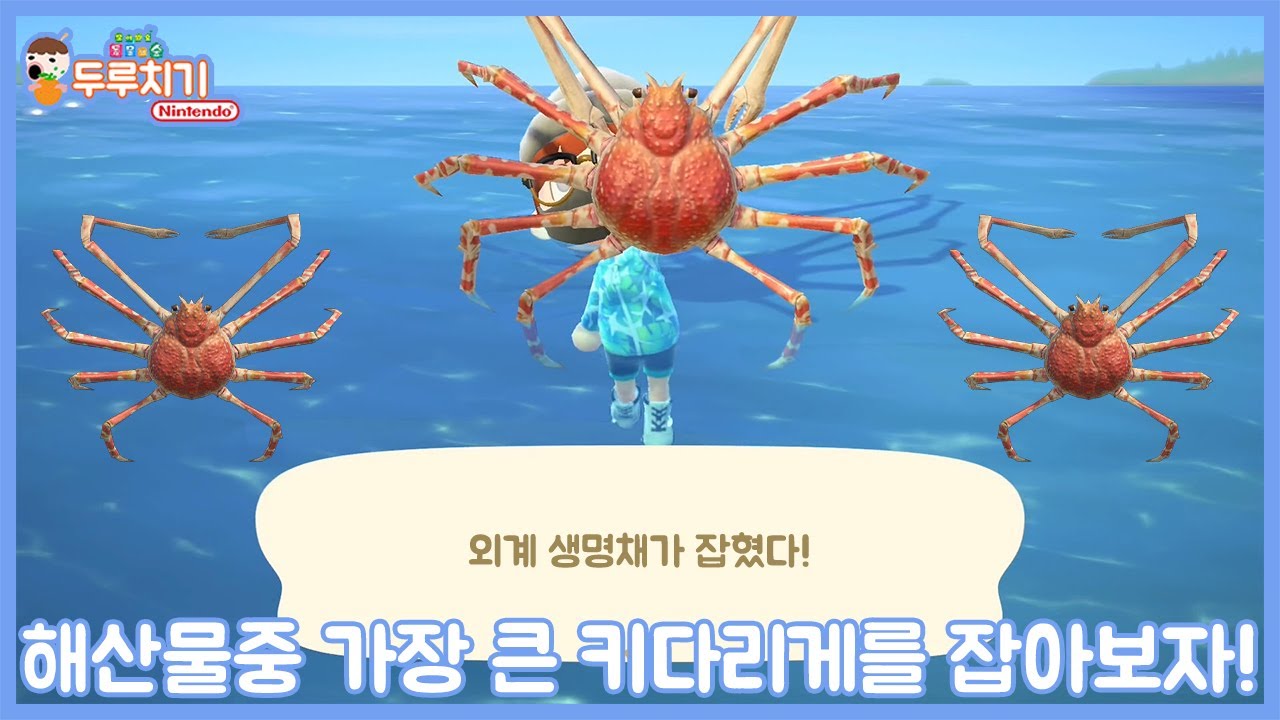 모여봐요 동물의 숲] 해산물중 가장 큰 키다리게를 잡으러 원정 떠나기! - Youtube