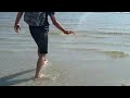 Pijlinktvis op het strand I Ecomare Texel Mp3 Song