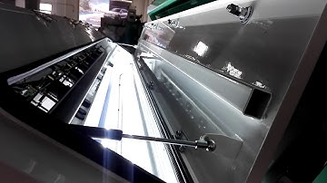 Webest color sorter sorting sesame/whatsapp 86 152 1560 5300 /anna@bestsorter.com