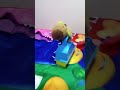 #capybara #toys
