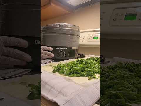 Dehydrator Elite Gourmet first time using