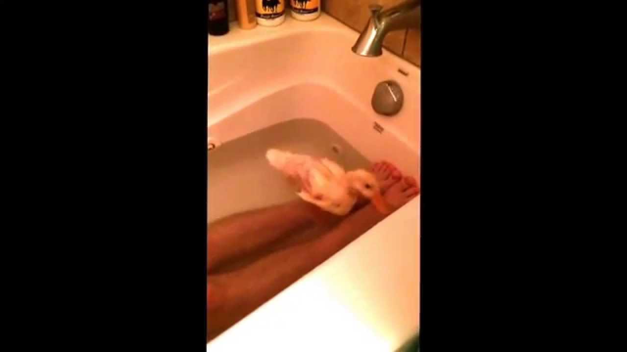 First bath for Babby Duck