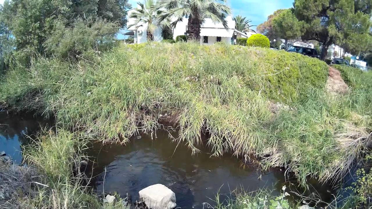 Greece Halkidiki Toroni Turtle River 2016 "Черепашья река" в Торони