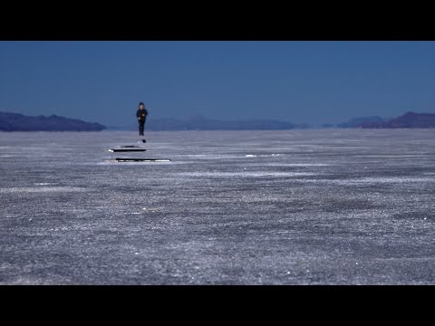 You Shriek  - Dead Pilots (Official Video)